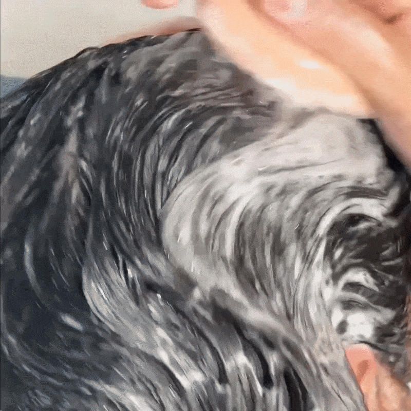 SilkyScalp® - Brosse Exfoliante Cuir Chevelu