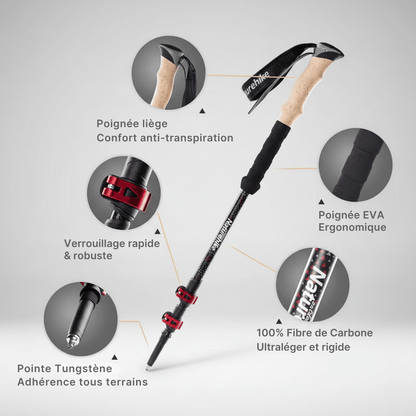Set Bâtons de randonnée carbone télescopiques | AJ Carbon TL