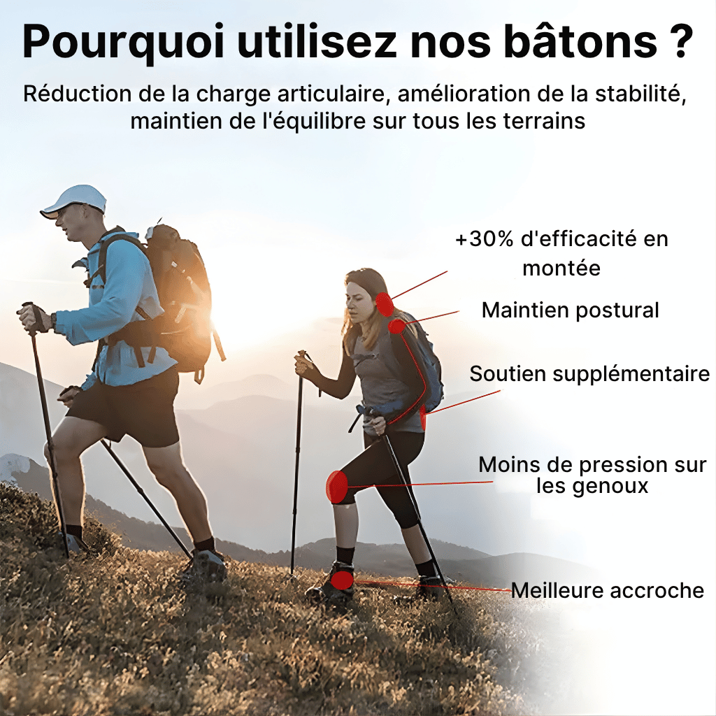 Dilwe Bâton de marche pliable Bâtons de trekking en alliage d'aluminium Dilwe Bâton de marche pliable Bâtons de trekking en alliage d'aluminium