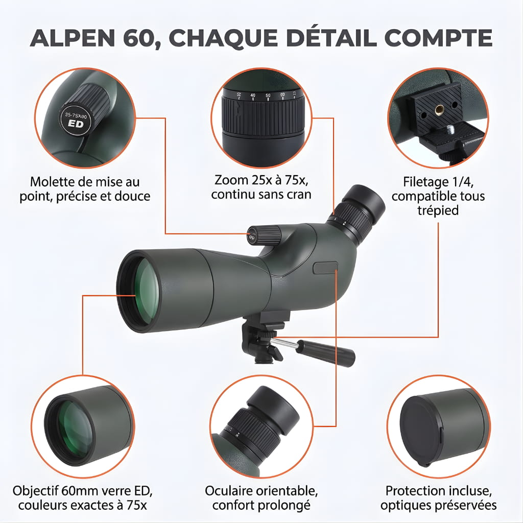 Alpen 60 | Longue Vue 25-75x60 Verre ED