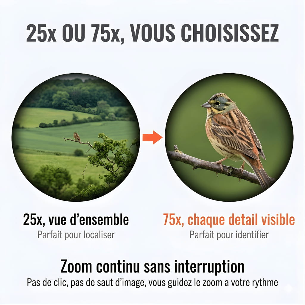 Alpen 60 | Longue Vue 25-75x60 Verre ED