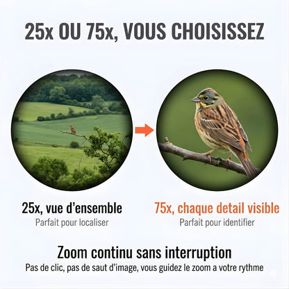 Alpen 60 | Longue Vue 25-75x60 Verre ED