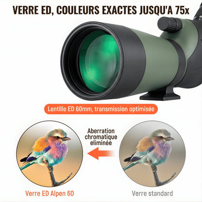 Alpen 60 | Longue Vue 25-75x60 Verre ED