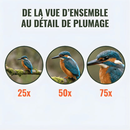 Alpen 80 | Longue Vue 25-75x80 Étanche IPX7