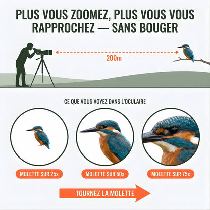 Alpen 80 | Longue Vue 25-75x80 Étanche IPX7